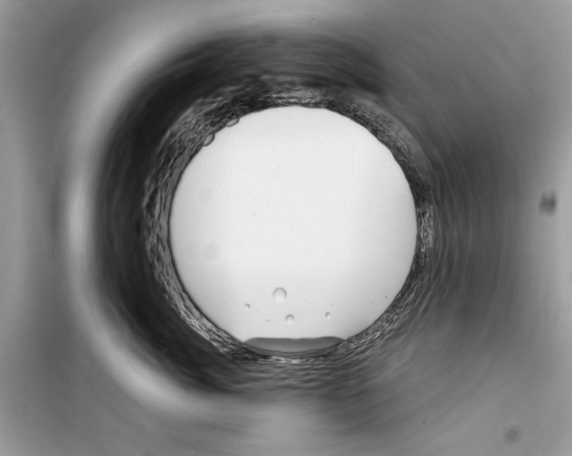 X0000098170764200805221515