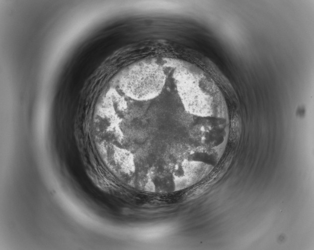 X0000098170765200805221515