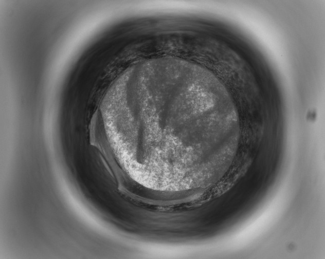 X0000098170766200805221515