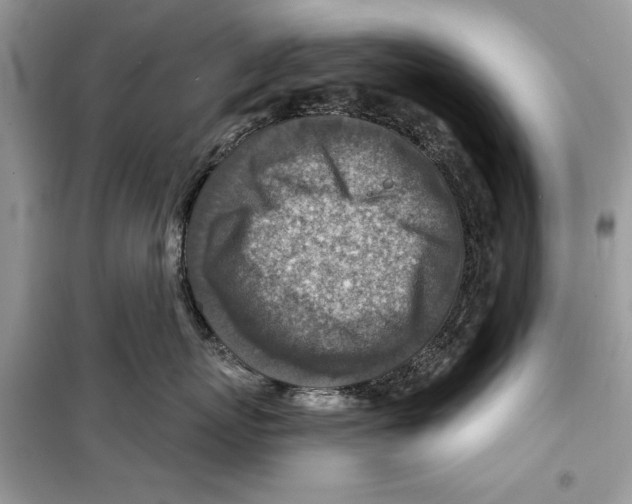 X0000098170767200805221515