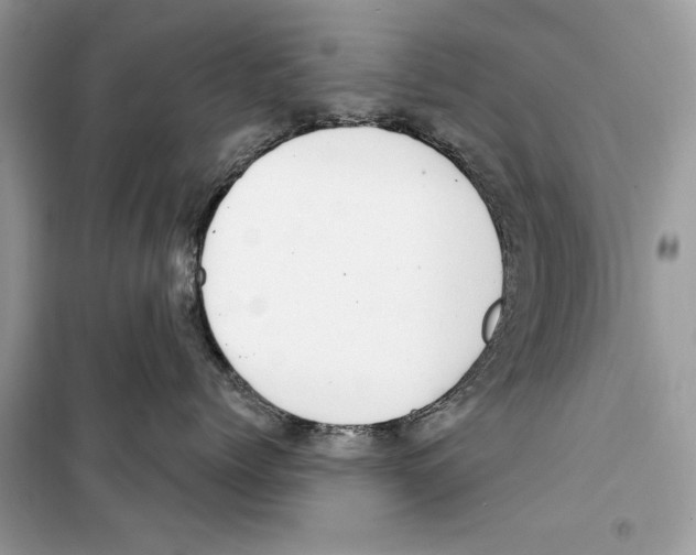 X0000098170768200805221515