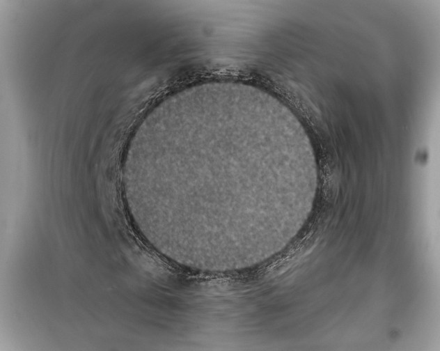 X0000098170769200805221514