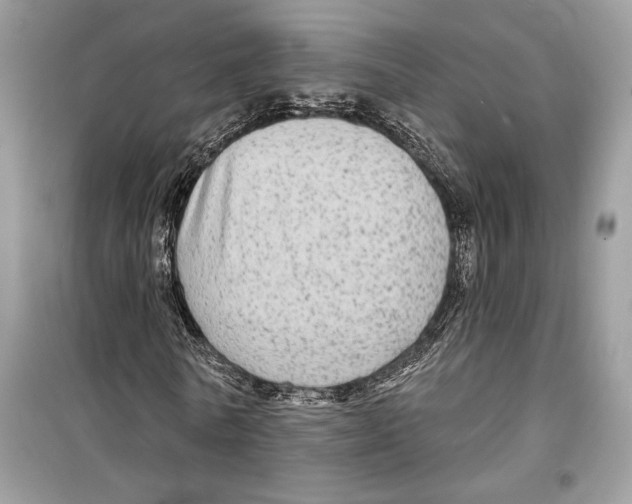 X0000098170770200805221514