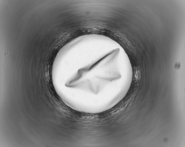 X0000098170771200805221514