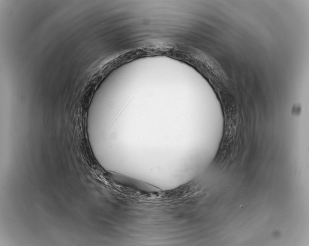 X0000098170773200805221514