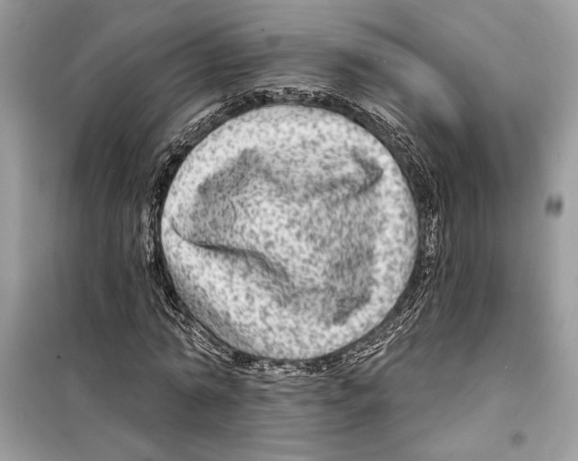 X0000098170774200805221514