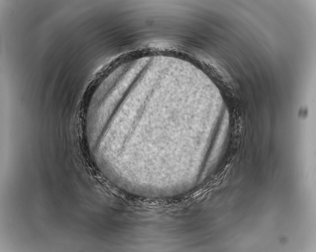 X0000098170776200805221514