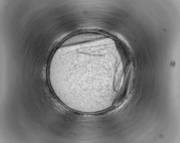 X0000098170777200805221514