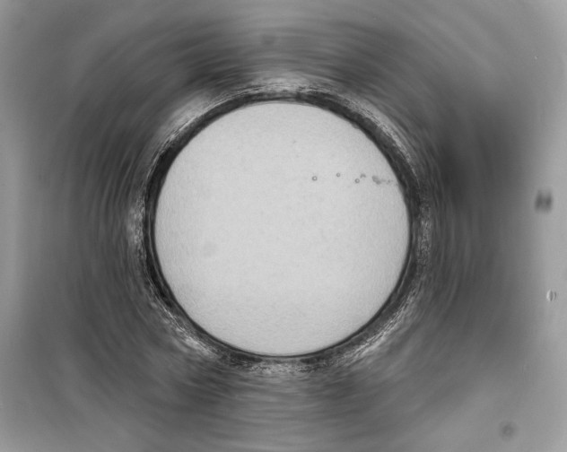 X0000098170778200805221514