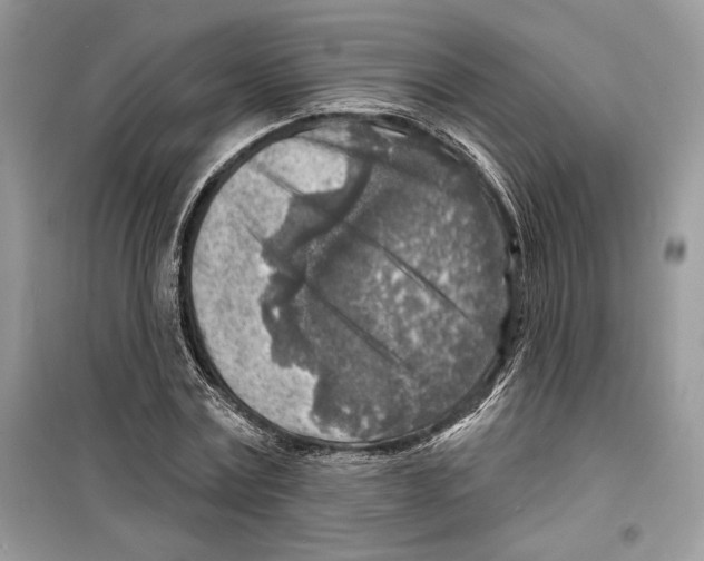 X0000098170779200805221514