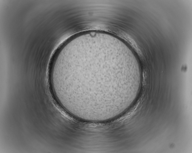 X0000098170780200805221514