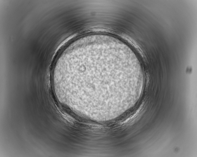 X0000098170782200805221514