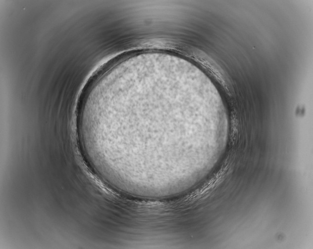 X0000098170784200805221514