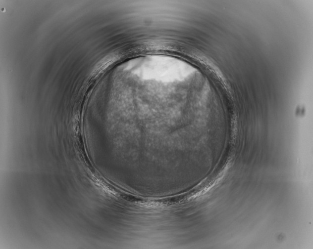 X0000098170785200805221514