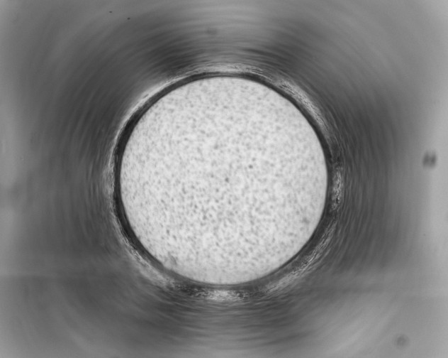 X0000098170787200805221514