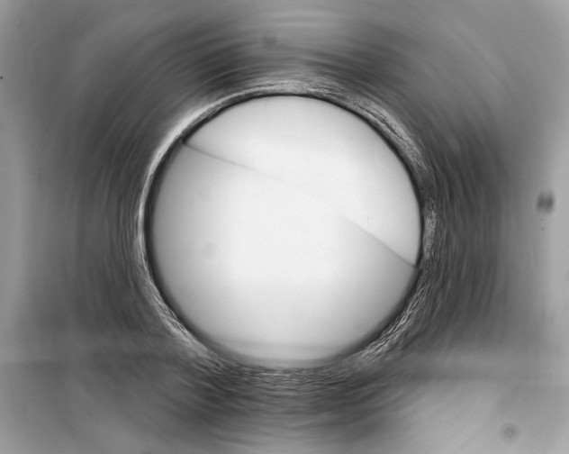 X0000098170788200805221514