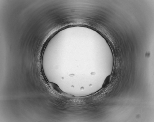 X0000098170789200805221514