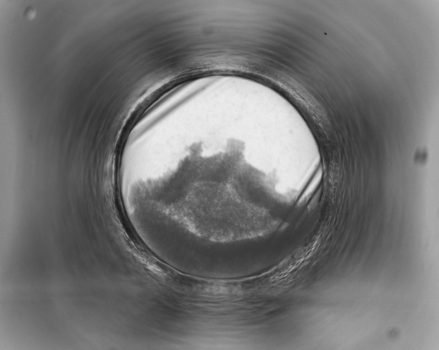 X0000098170790200805221514