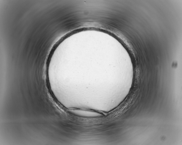 X0000098170791200805221514