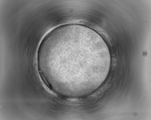 X0000098170792200805221514