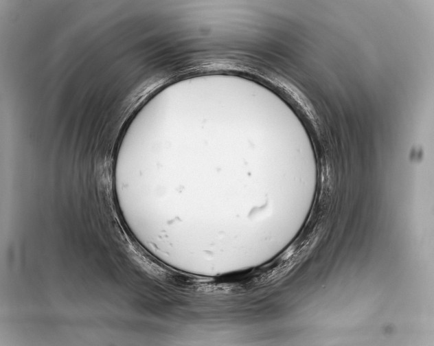 X0000098170793200805221514