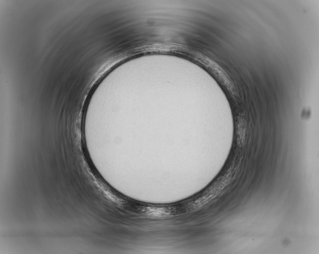 X0000098170794200805221514