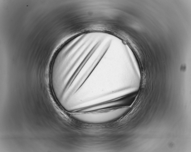 X0000098170795200805221514