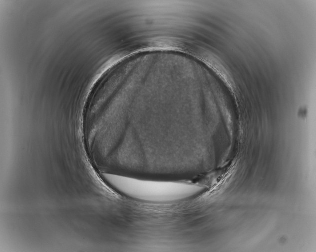 X0000098170797200805221514