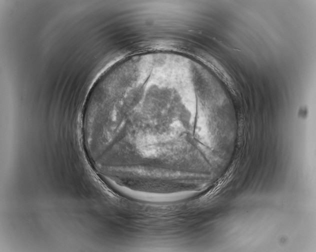 X0000098170798200805221514