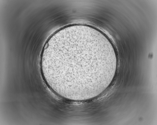 X0000098170799200805221514