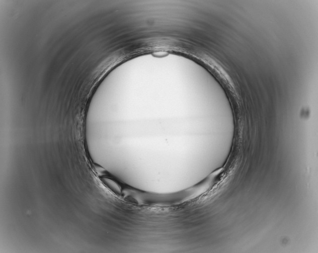 X0000098170801200805221514