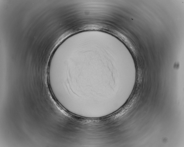 X0000098170802200805221514