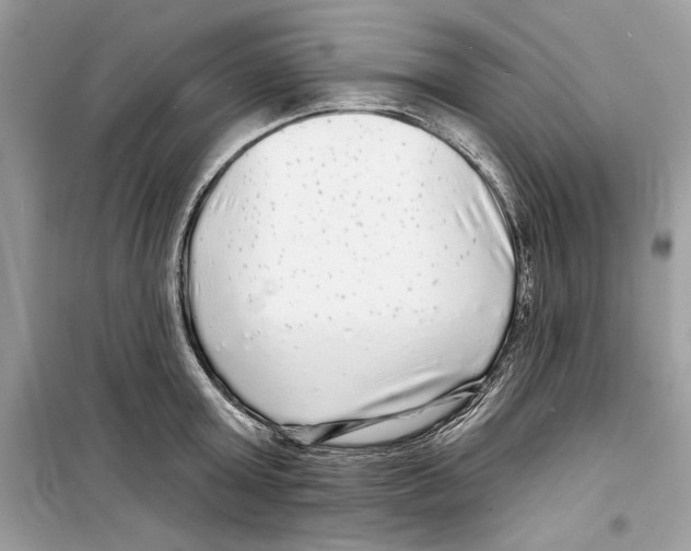 X0000098170803200805221514