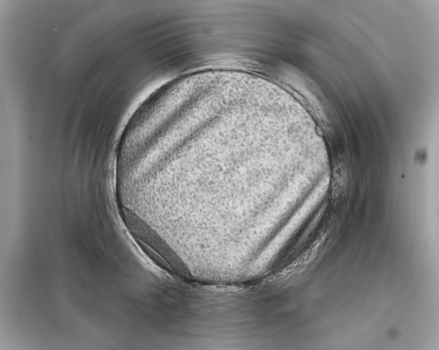 X0000098170804200805221514