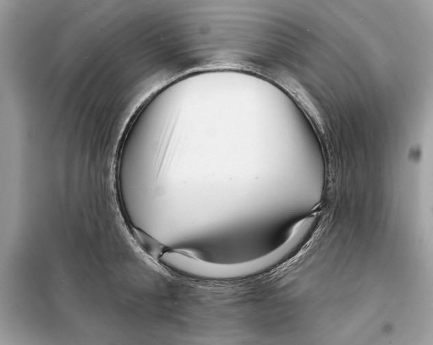 X0000098170805200805221514