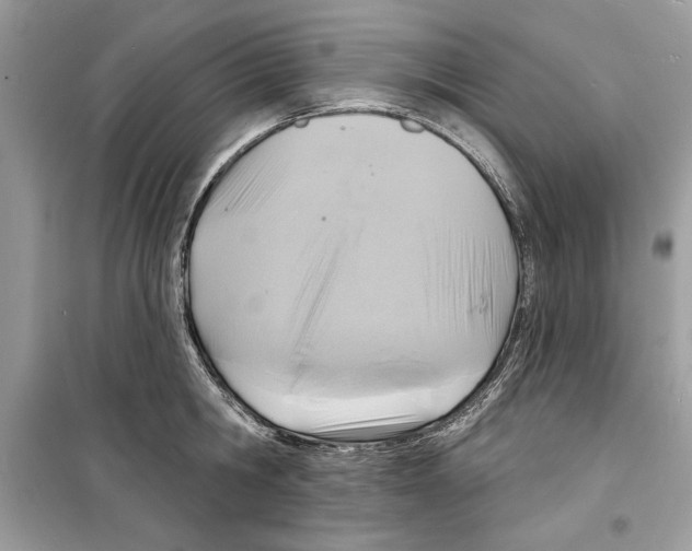 X0000098170806200805221514