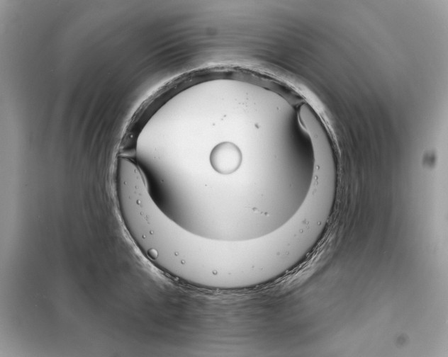 X0000098170807200805221514