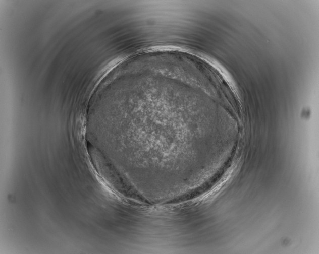 X0000098170809200805221514