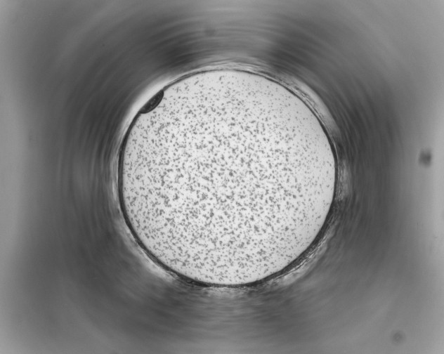 X0000098170812200805221514