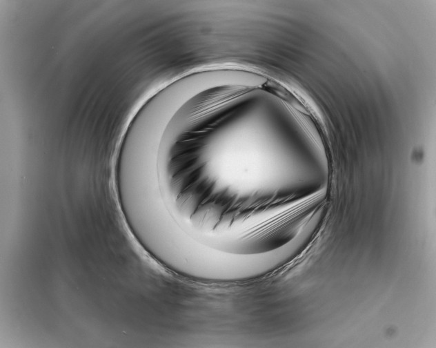 X0000098170813200805221514