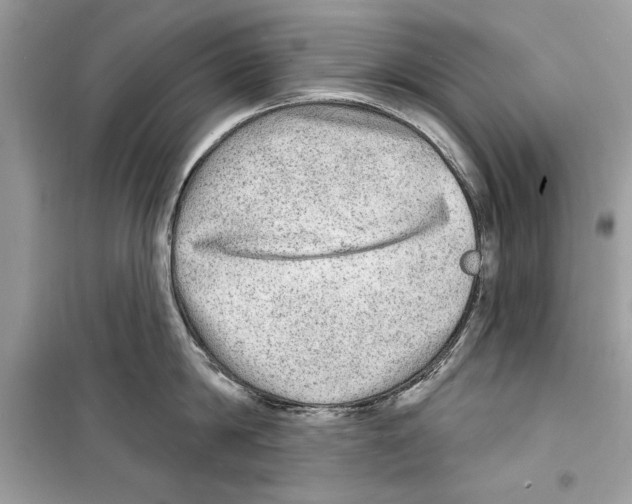 X0000098170814200805221514