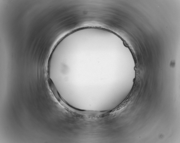 X0000098170815200805221514