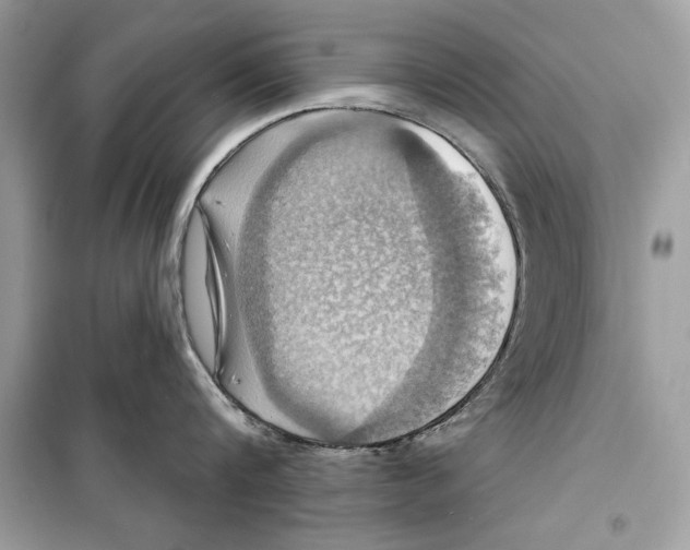 X0000098170816200805221514