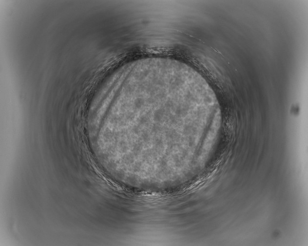 X0000098170817200805221513