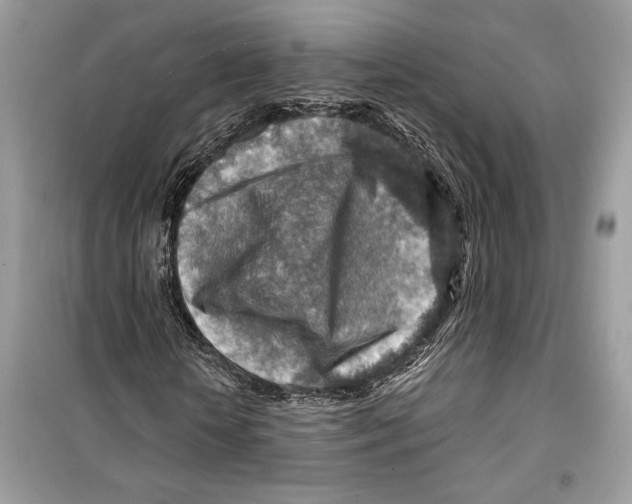 X0000098170818200805221513