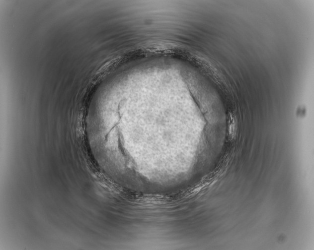 X0000098170819200805221513