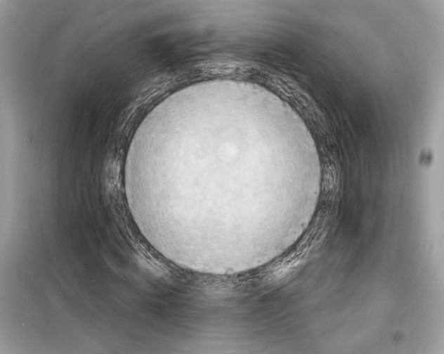 X0000098170820200805221513