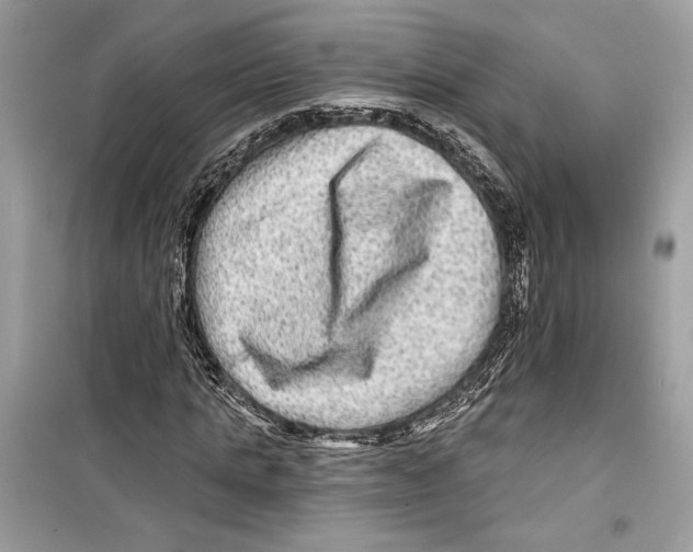 X0000098170821200805221513