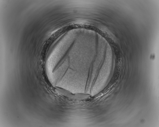 X0000098170822200805221513