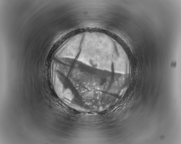 X0000098170823200805221513